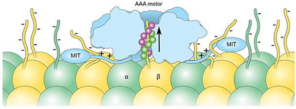 Figure 7.