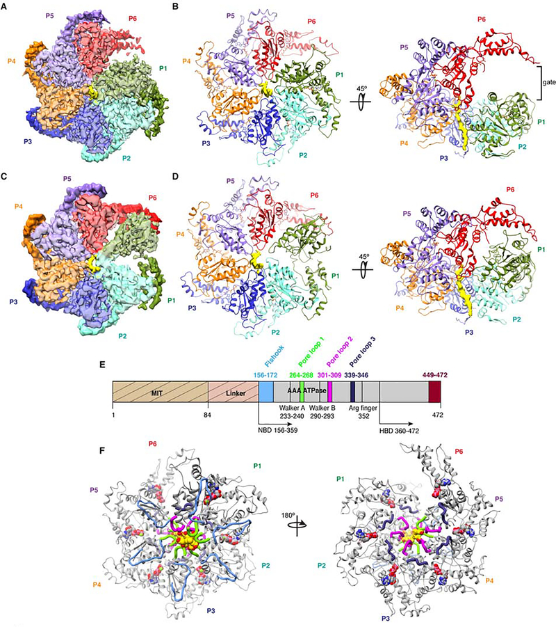 Figure 2.