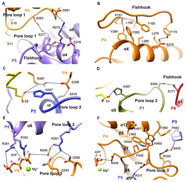 Figure 4.