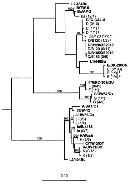 FIG. 1