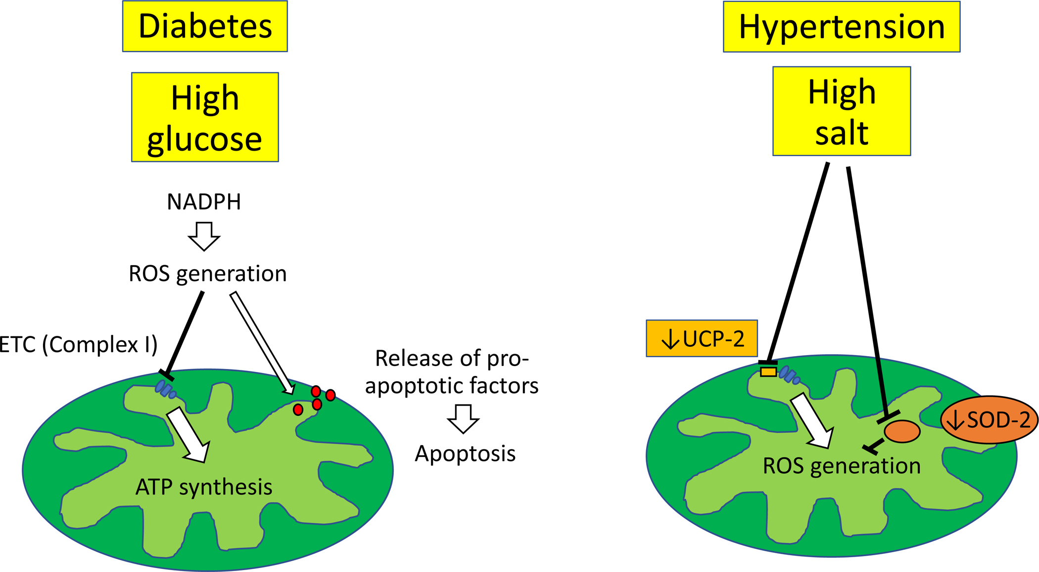 Figure. 1.