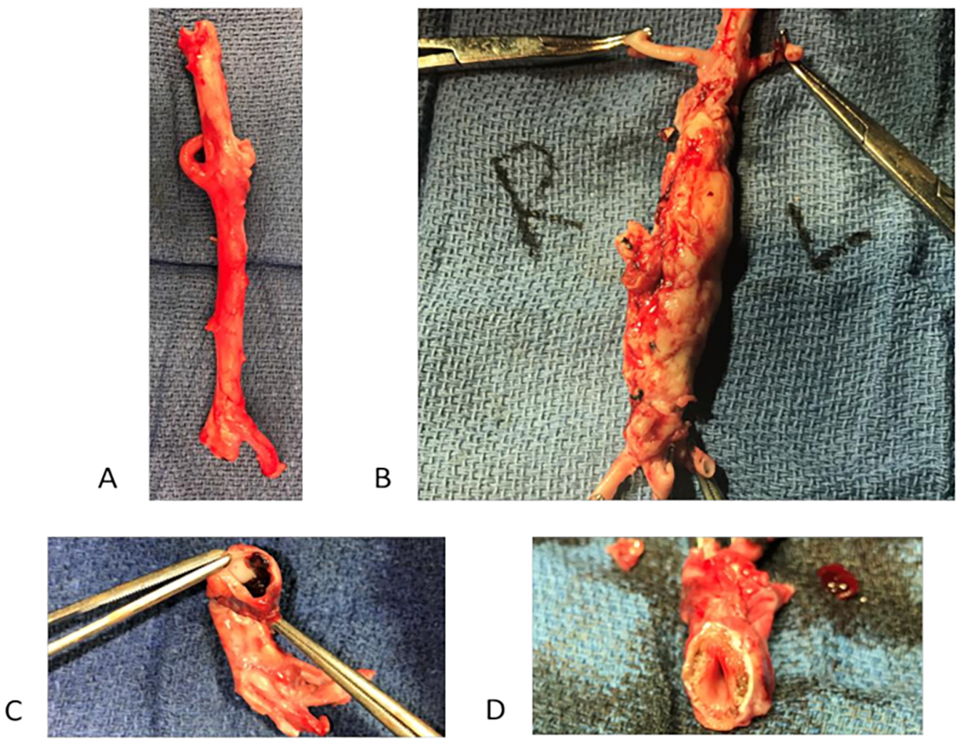 Figure 2: