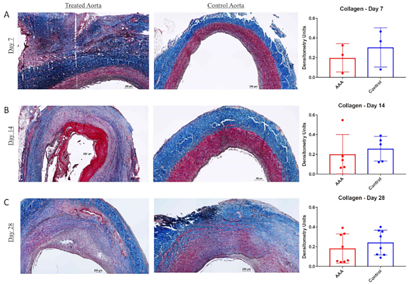 Figure 4: