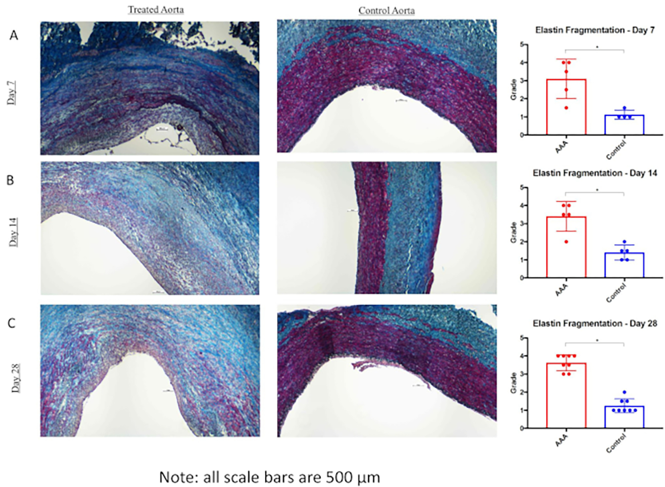 Figure 3: