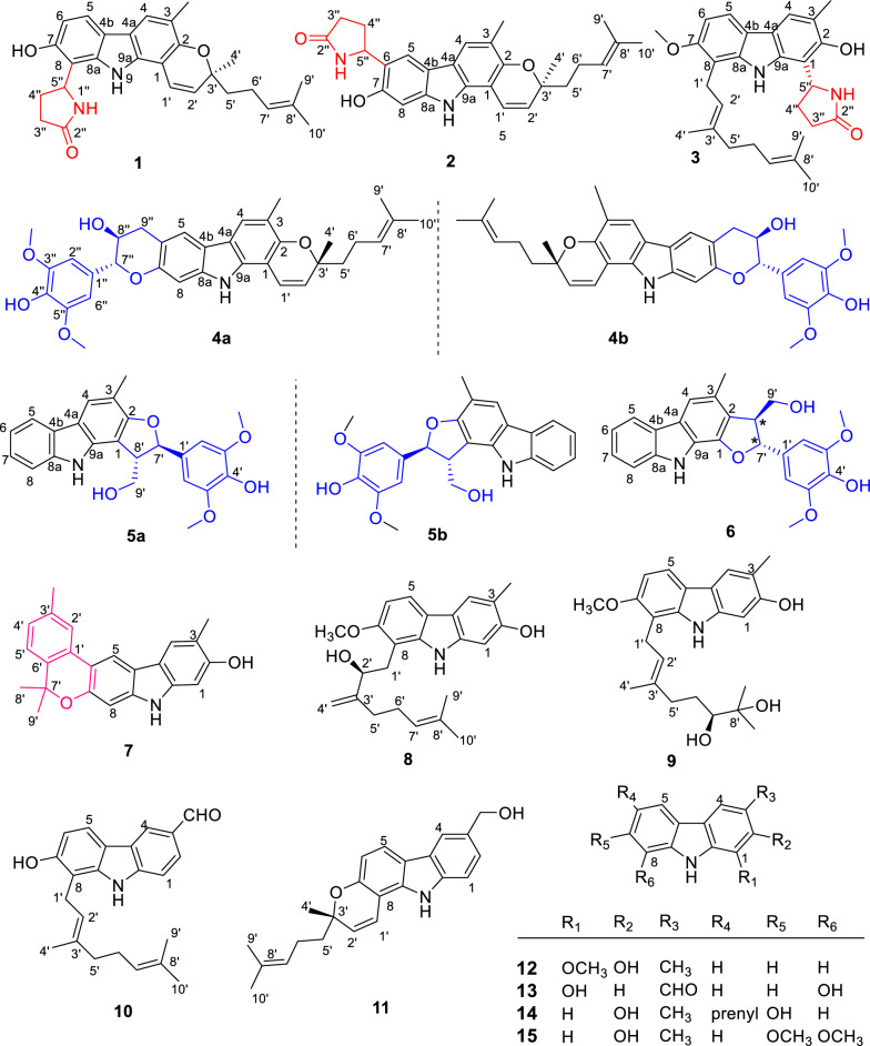 Fig. 1