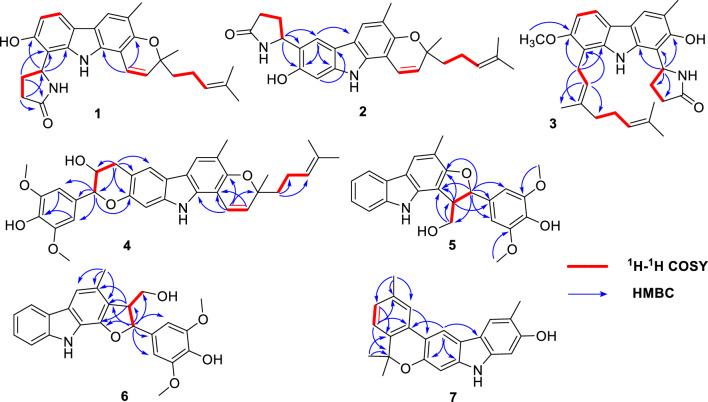 Fig. 2