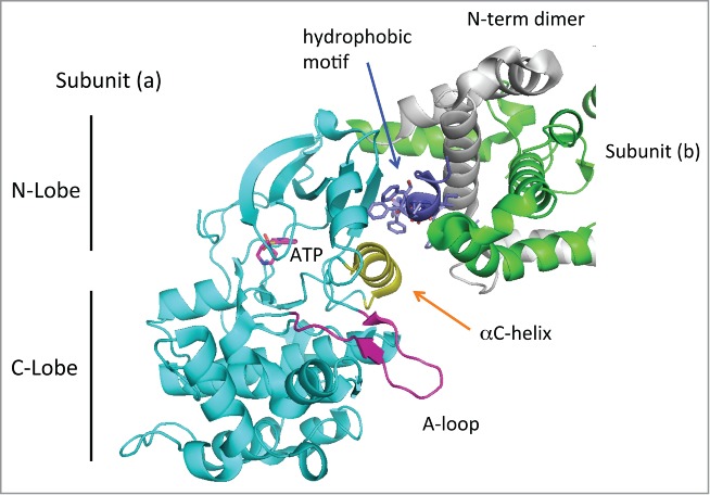 Figure 2.