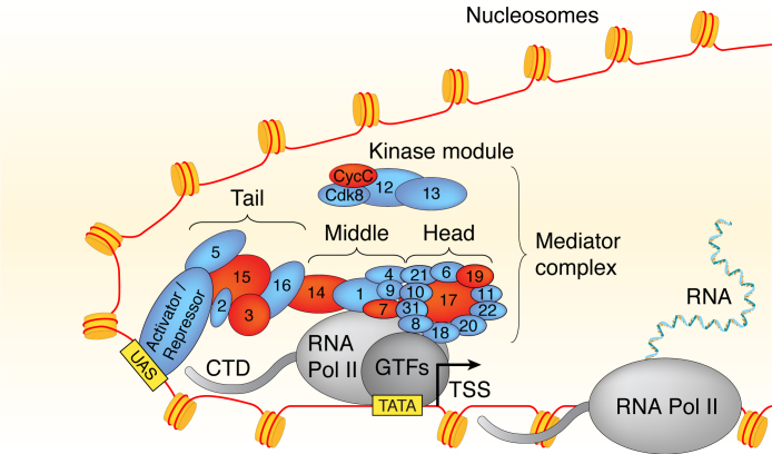 Figure 1.