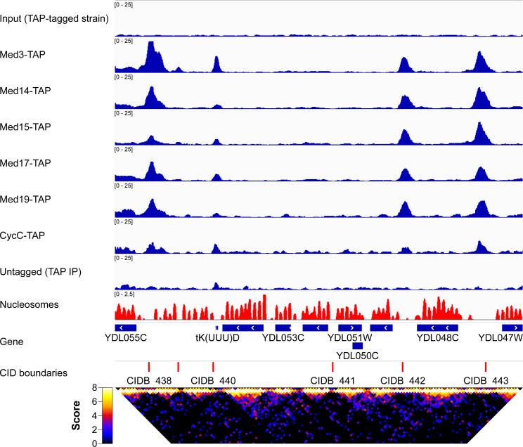 Figure 2.