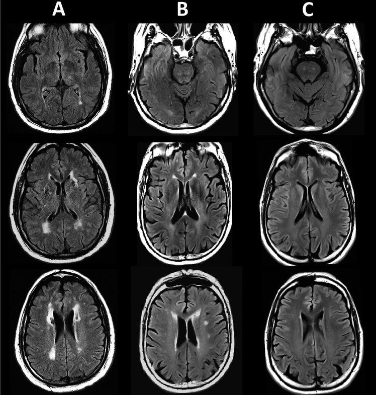 Clinical and research applications of magnetic resonance imaging in the ...