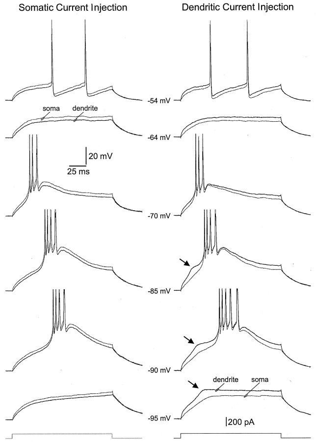 Fig. 10.