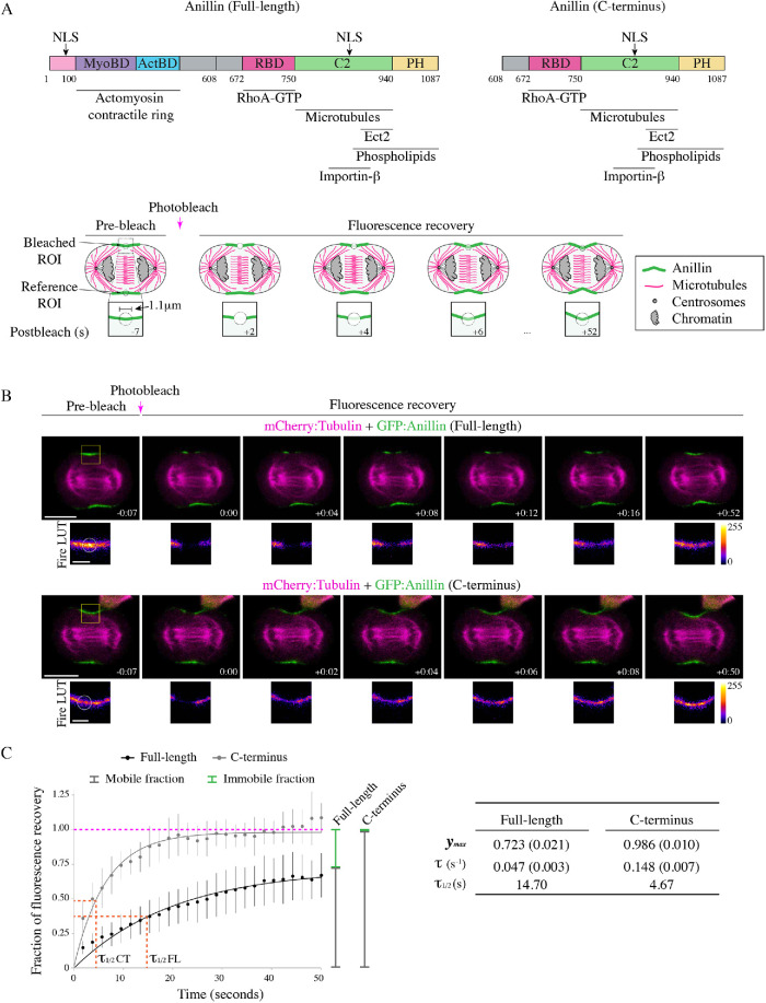 FIGURE 1: