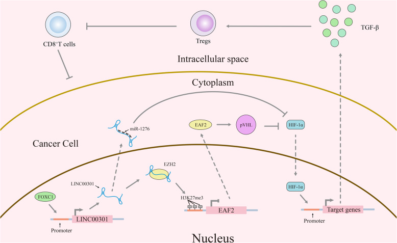 Fig. 11