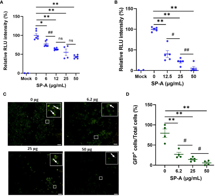 Figure 3