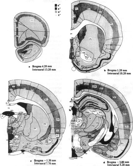 graphic file with name pnas01037-0052-a.jpg