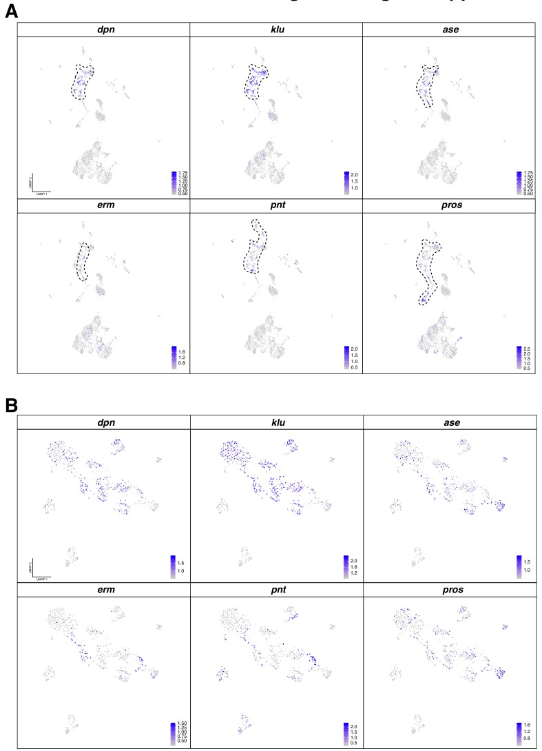 Figure 2—figure supplement 1.