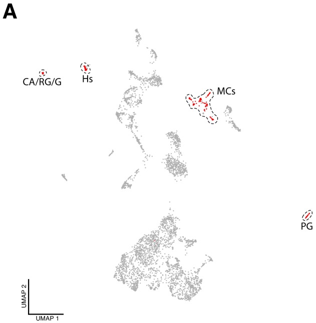 Figure 1—figure supplement 2.