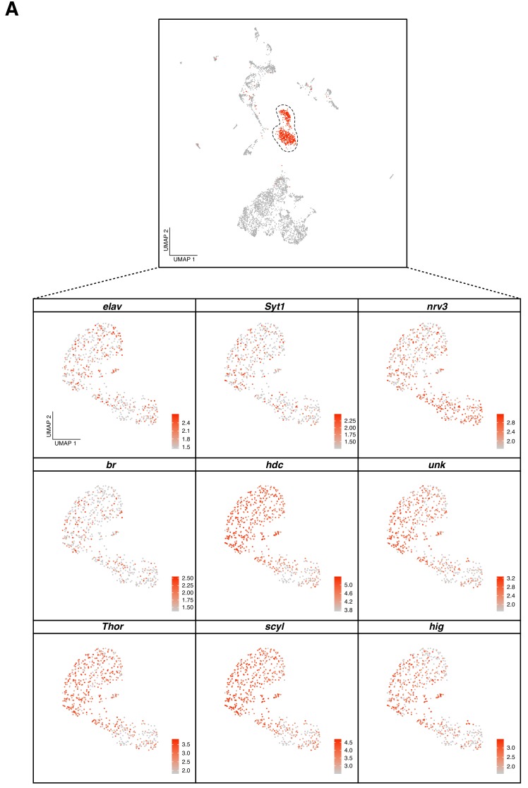 Figure 2—figure supplement 2.