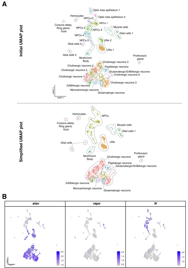 Figure 1—figure supplement 1.