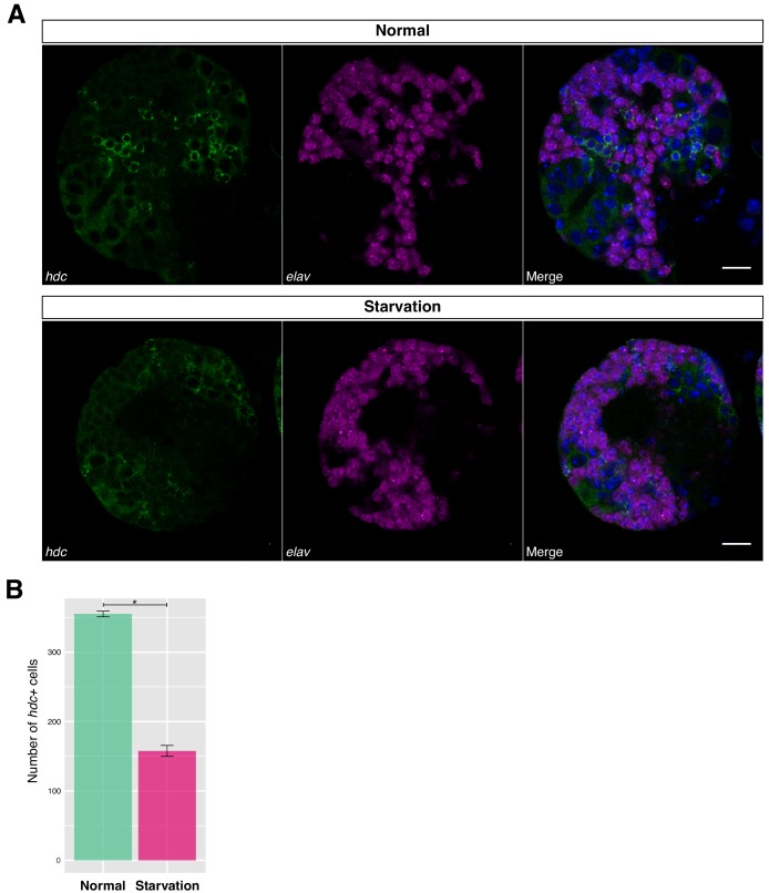 Figure 7—figure supplement 2.