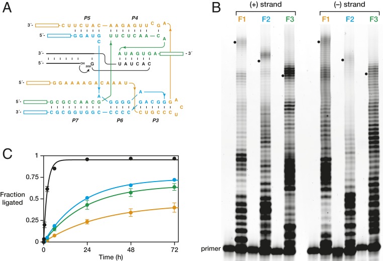 Fig. 3.