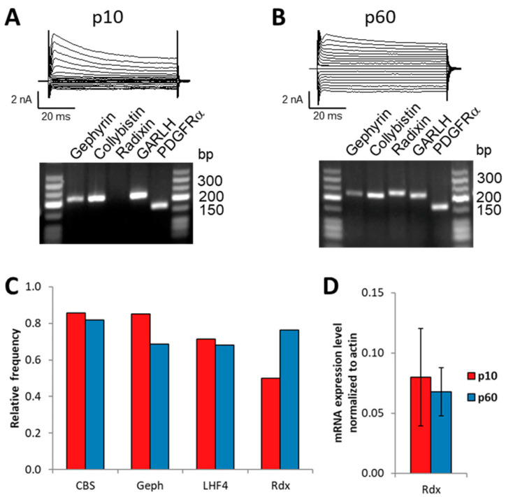 Figure 7