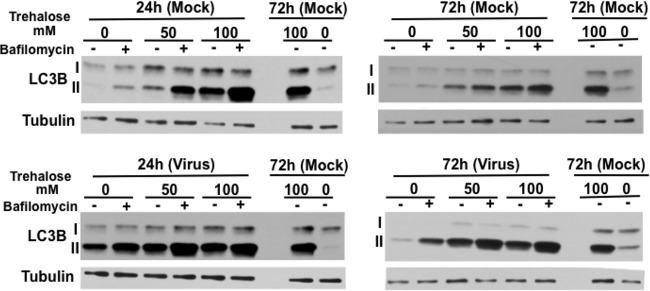 FIG 3