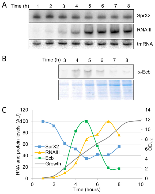 Figure 9.