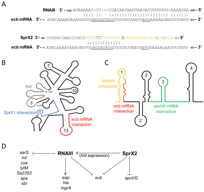 Figure 10.