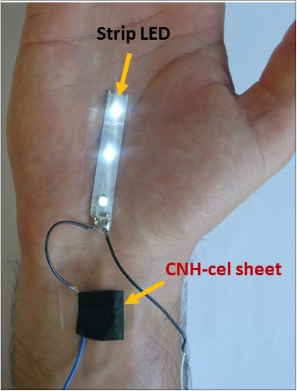 Fig. 13