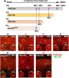Figure 2—figure supplement 2.