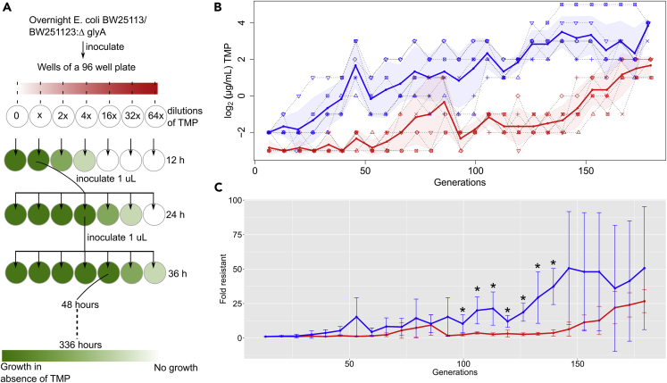 Figure 3