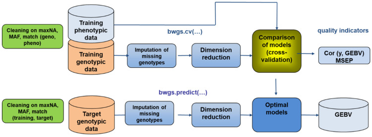 Figure 5