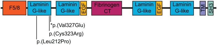 Figure 2.