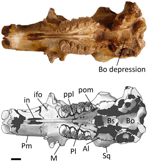 Figure 13