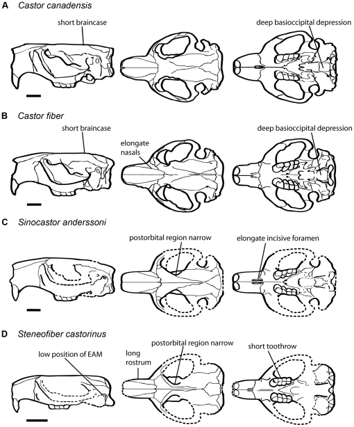 Figure 16