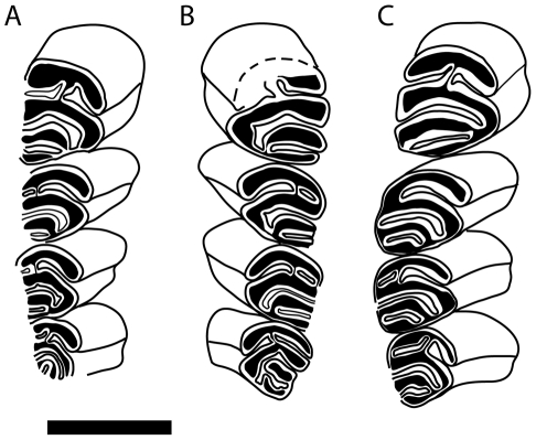 Figure 15