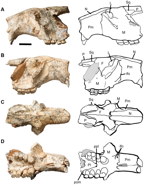 Figure 12