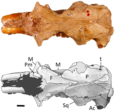 Figure 11