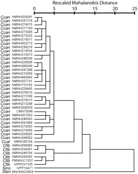 Figure 10