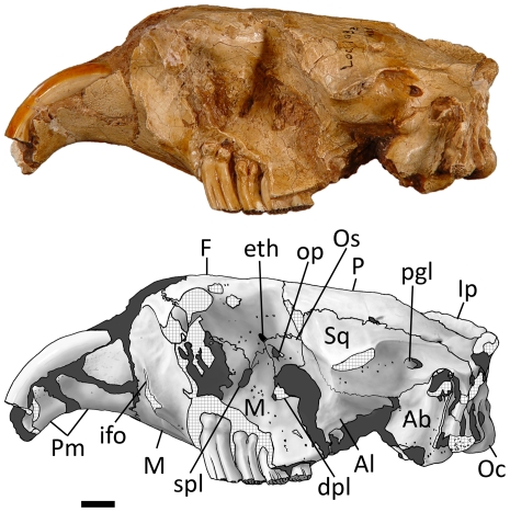 Figure 14