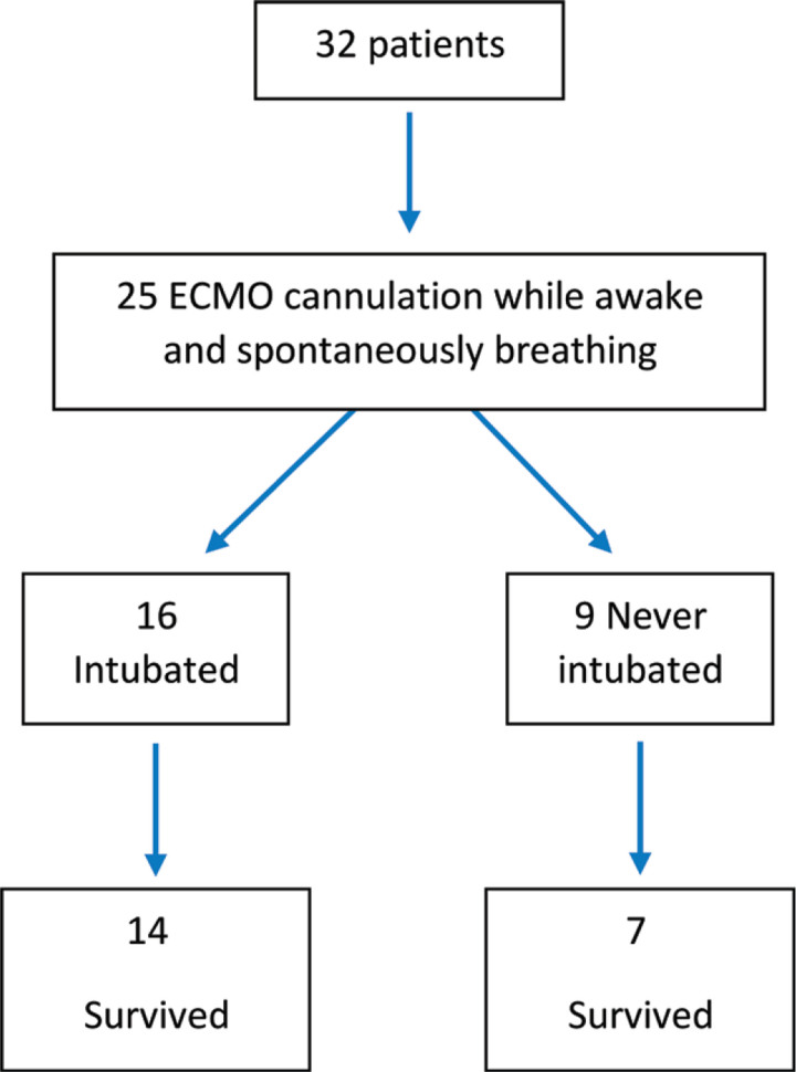 Extracorporal membrane oxygenation in nonintubated patients awake ecmo