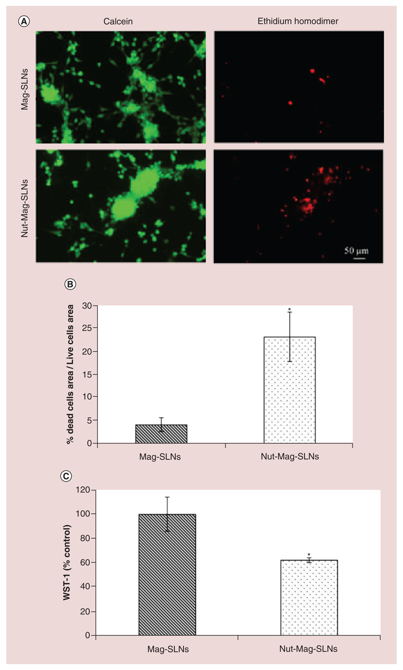 Figure 11