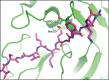 <b>Figure 1.</b>