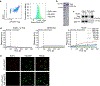 Extended Data Fig. 5.