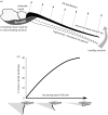 Figure 3.