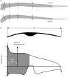 Figure 2.