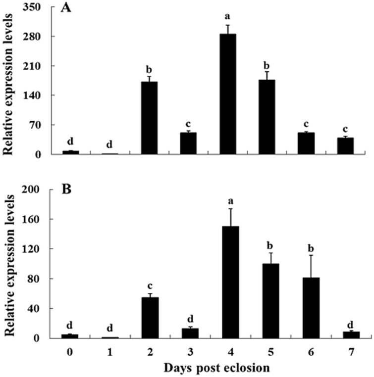 Figure 6