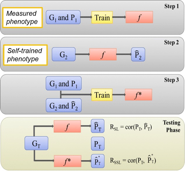 Fig. 1