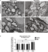 Fig 9